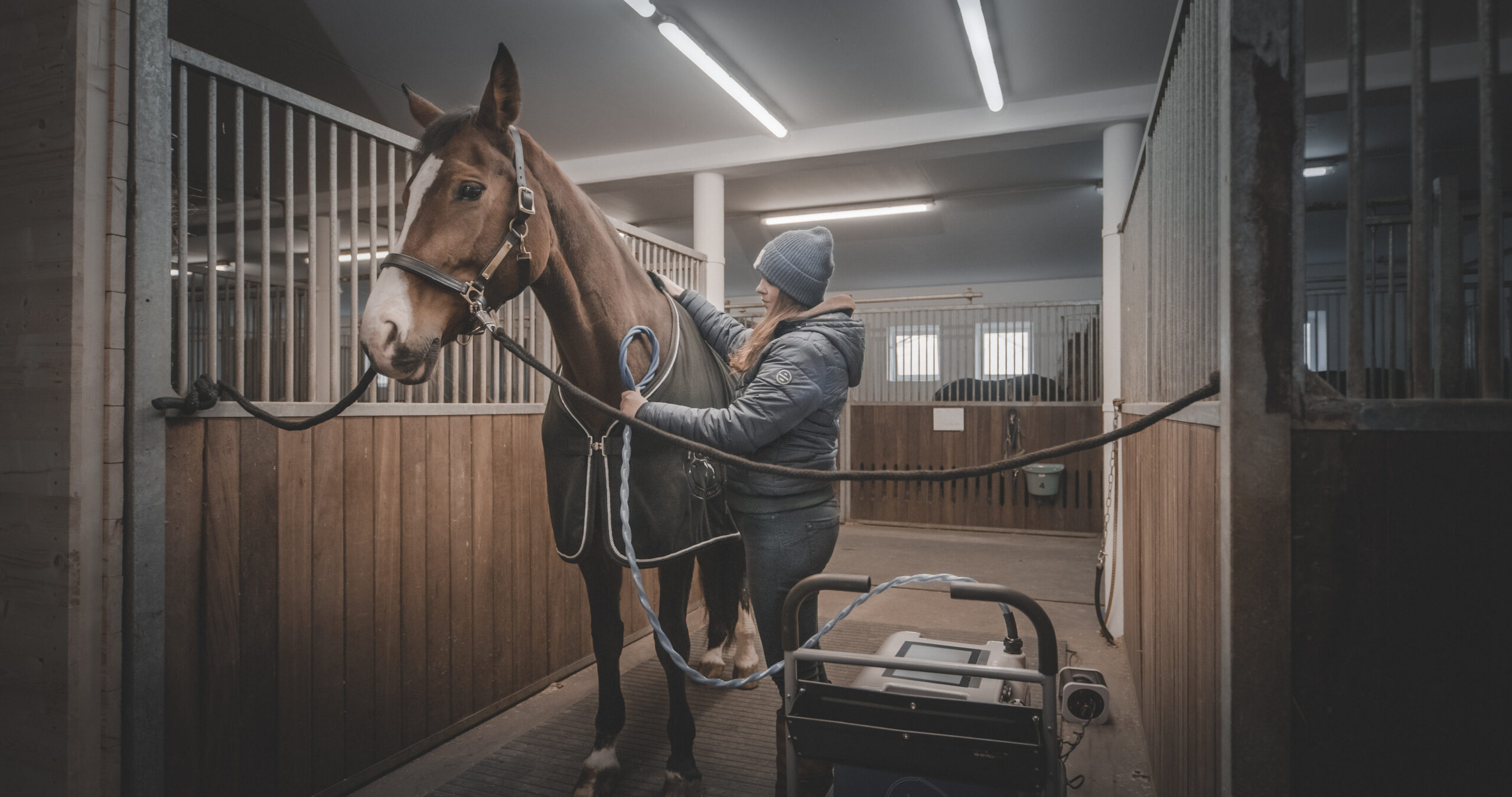 Equitron Therapie mit Pferd